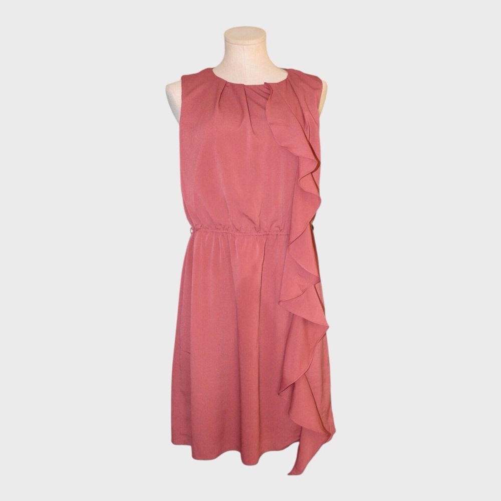 Zara Sleeveless Ruffle Front Dress - Picture 8 of 8